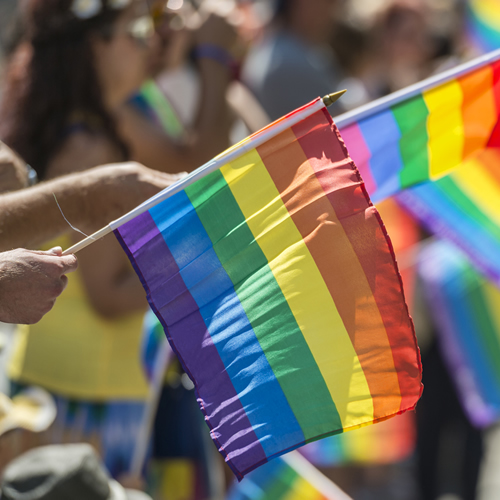 LGBT+ Flag at a parade