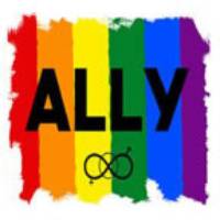 LGBT+ Flag with "Ally" written over it
