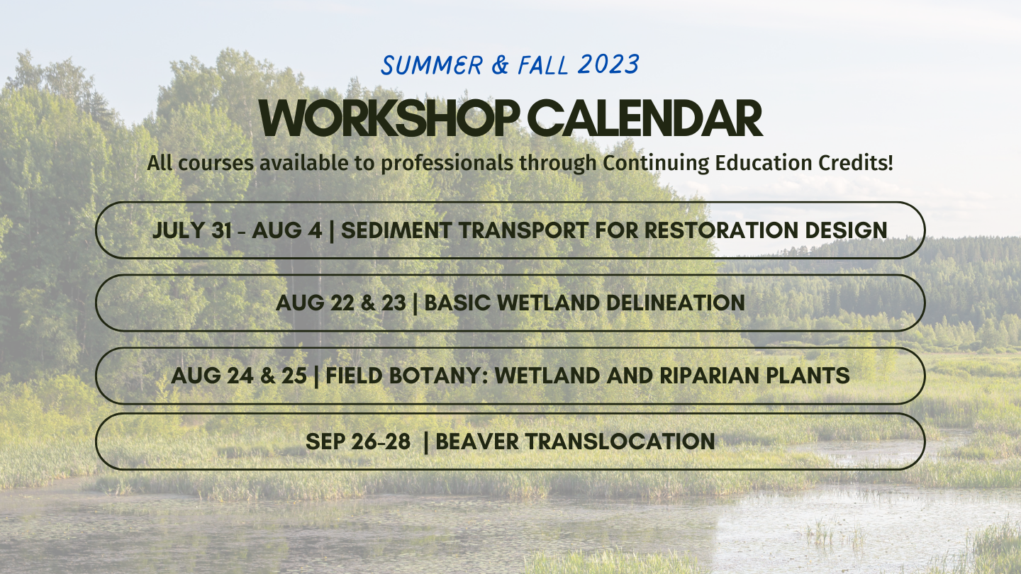 All courses available to professionals through Continuing Education Credits

July 31-Aug 4 | Sediment Transport for Restoration Design
Aug 22&23 | Basic Wetland Delineation
Aug 24 & 25 | Field Botany: Wetland and Riparian Plants
Sep 26-27 | Beaver Translocation