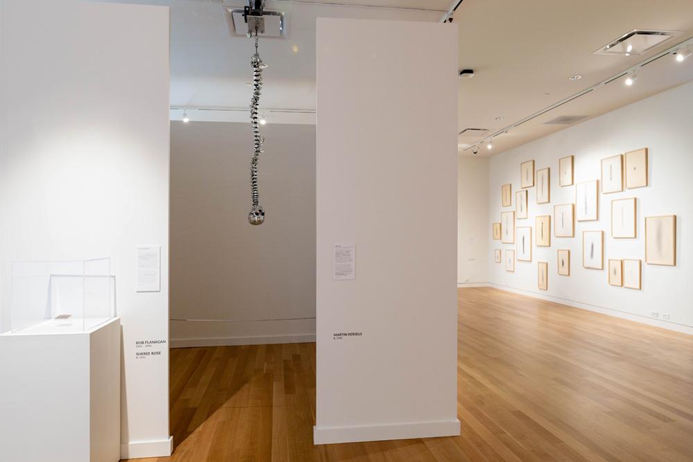 A spinal and skull sculpture hangs from the ceiling