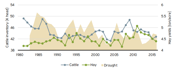 Line graph depicting the cattle inventory (k head), and hay yields (ton/acre) from 1980 to 2015. The blue line represents cattle, the green line represents hay and the yellow shaded portion represents drought.