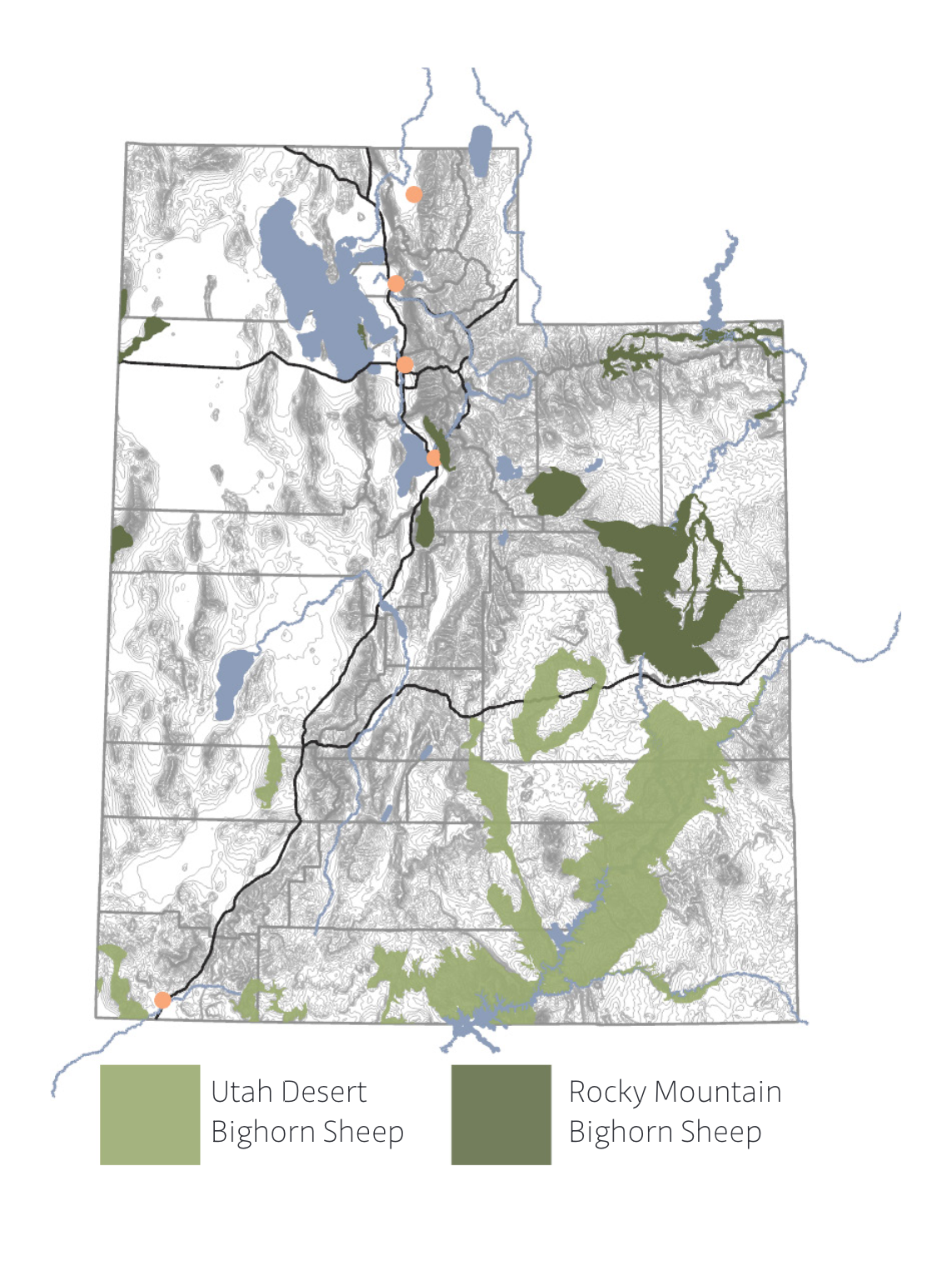 Map of Utah displaying habitat regions for Utah Desert Bighorn Sheep and Rocky Mountain Bighorn Sheep. The Utah Desert Bighorn Sheep habitat is highlighted in light green and concentrated in the southern and southwestern parts of the state. The Rocky Mountain Bighorn Sheep habitat is shown in dark green, primarily located in the northeastern and central-eastern regions.