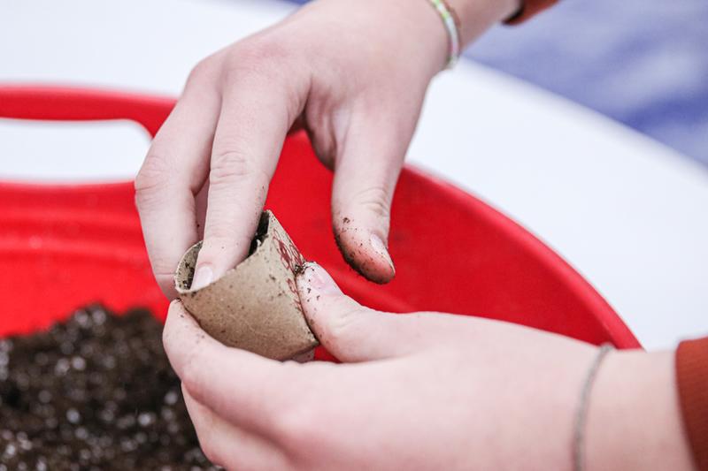 Closeup of hands packing soil into a compostable pot made from half of an empty toilet paper tube.