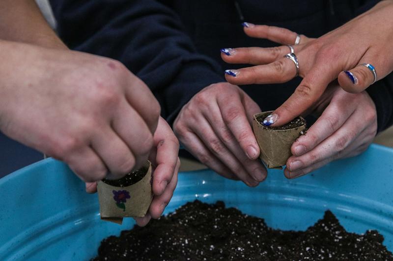 Closeup of hands filling toilet paper tube pots with soil.
