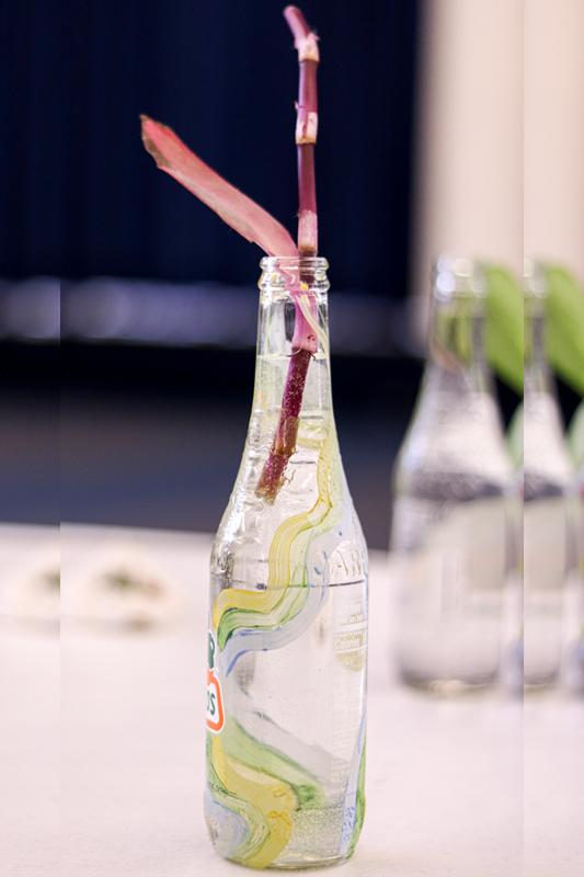 Plant in reused glass bottle painted with stripes.