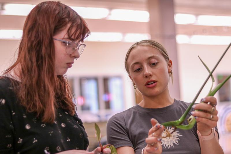 Two students holding plants and talking