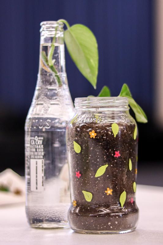 One plant in a reused glass bottle filled with water; another plant in soil in a reused glass jar painted with small flowers and leaves.