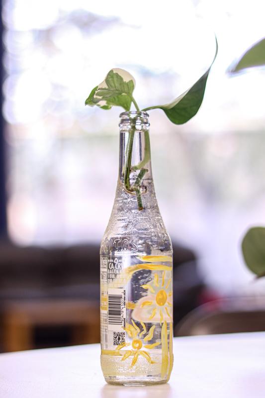 Plant in a reused glass bottle painted with suns.