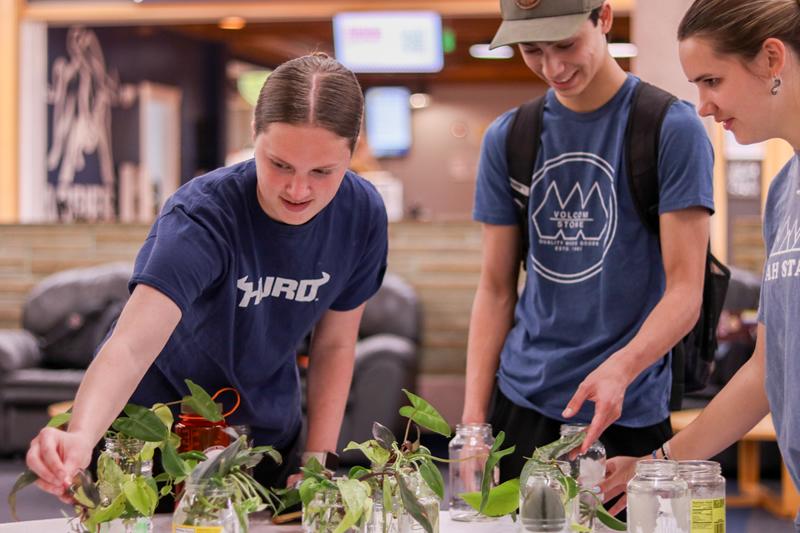 Three students standing around a table of plants and glass jars.