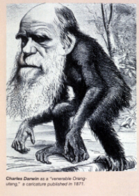 Cartoon of Darwin as a monkey (click to see larger image)