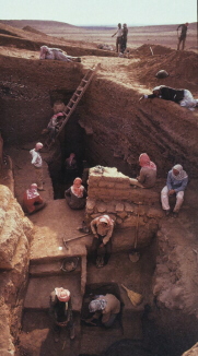 Archaeologists (click to see larger image)