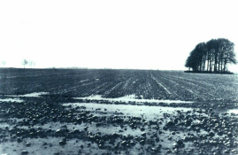 Agincourt (click to see larger image)