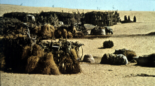 Bedouins (click to see larger image)