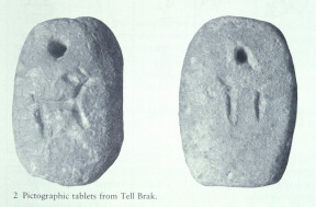 click to see larger image