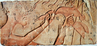 Akhenaten offering a duck to the aten (click to see larger image)