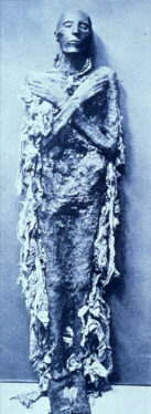 Mummy of Ramses II (click to see larger image)