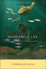 Wonderful Life by Steven Jay Gould (click to see larger image)