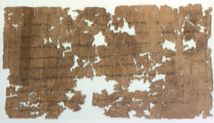 Papyrus (click to see larger image)