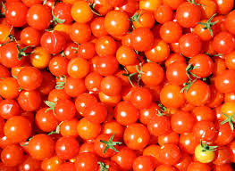 A close-up view of several cherry tomatoes.