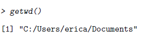 A screenshot of the R console showing the command getwd() and its output: [1] 