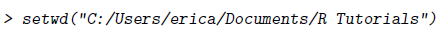 A screenshot of the R console showing the command setwd(