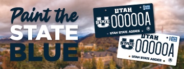 License plates v2