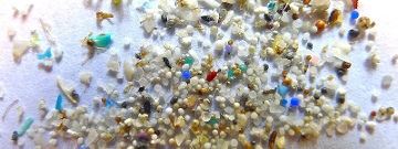 Puzzling Out Plastics: USU Researcher Working to Understand Global Scale of Plastic Pollution