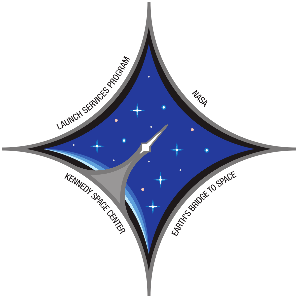 NASA LSP Logo