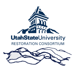Restoration logo with braided river