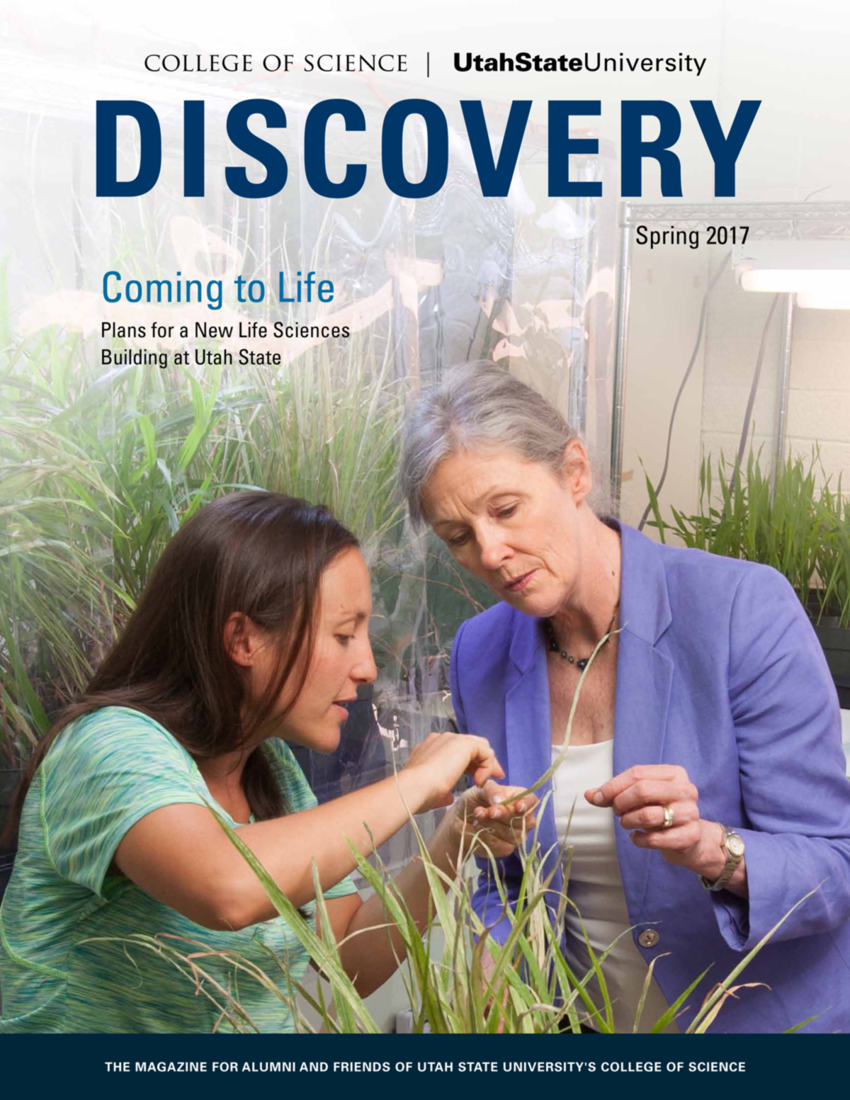 Spring 2017 Discovery Cover