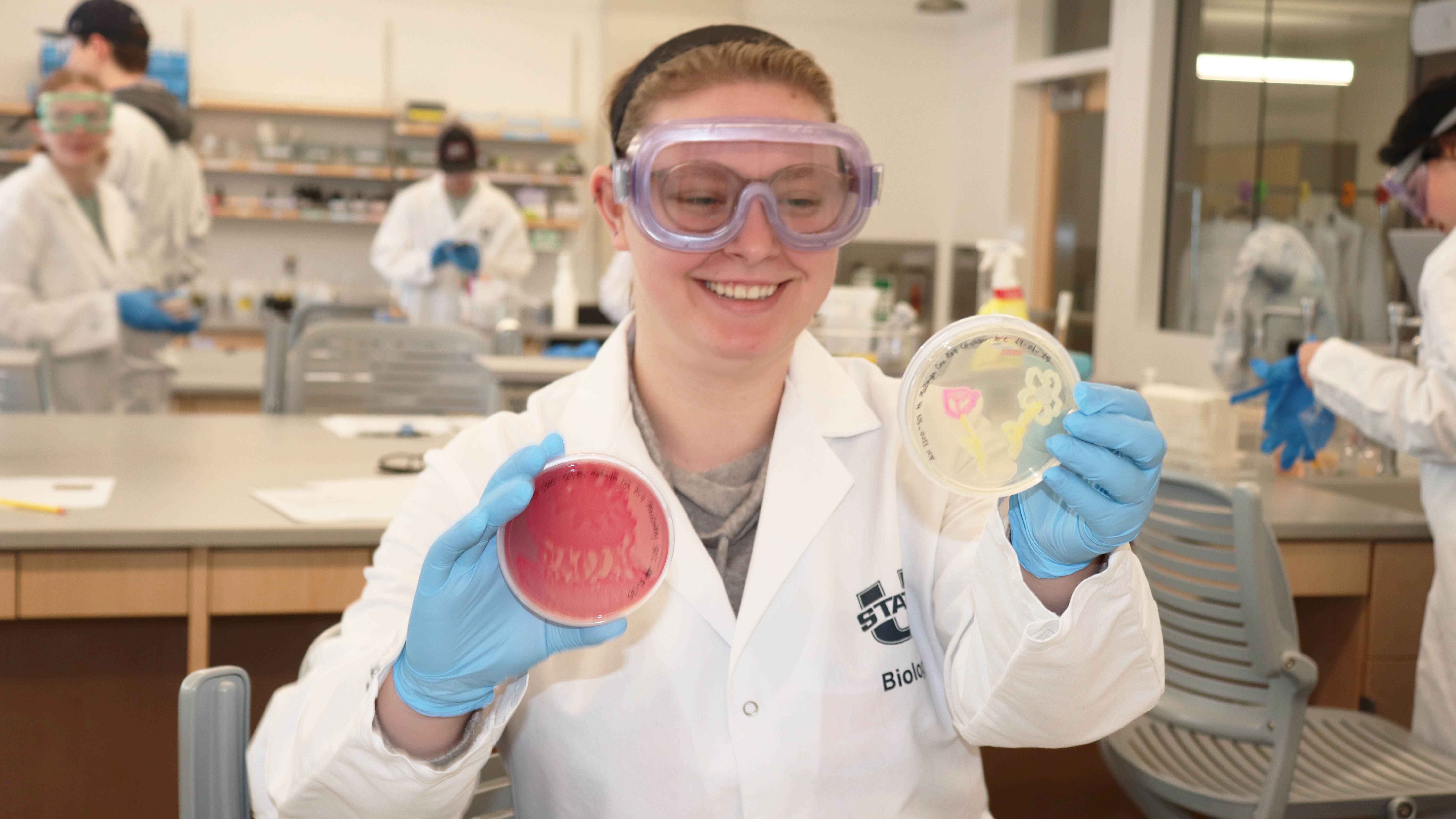 Undergraduates in Utah State's Schaeffer/Weinstein Labs craft works of art from colorful bacteria.