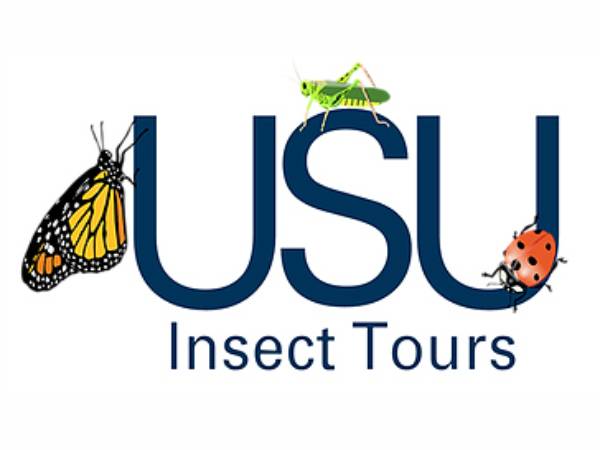 USU Insect Tours