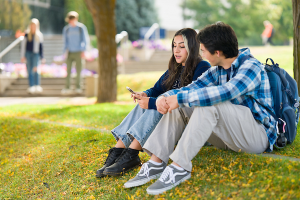students sitting on the lawn under a tree