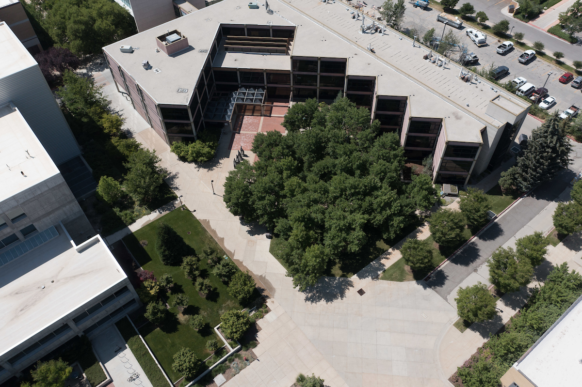 Several groups of trees on USU campus