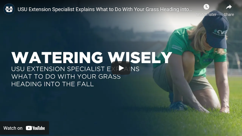 Watering Wisely: USU Extension Specialist Explains What to Do with your Grass Heading into Fall
