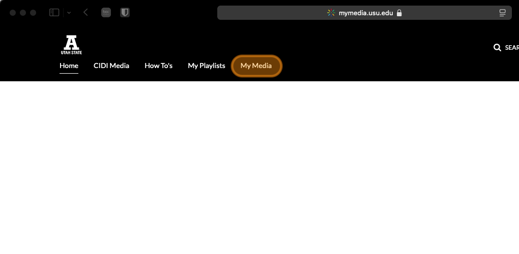 Selecting a Kaltura video thumbnail  | Teach