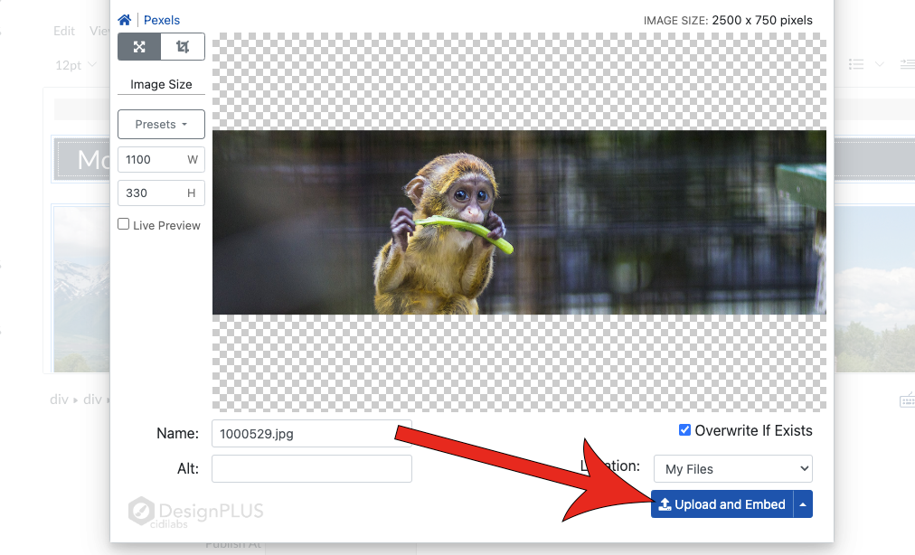 Arrow pointing at blue Upload and Embed button.