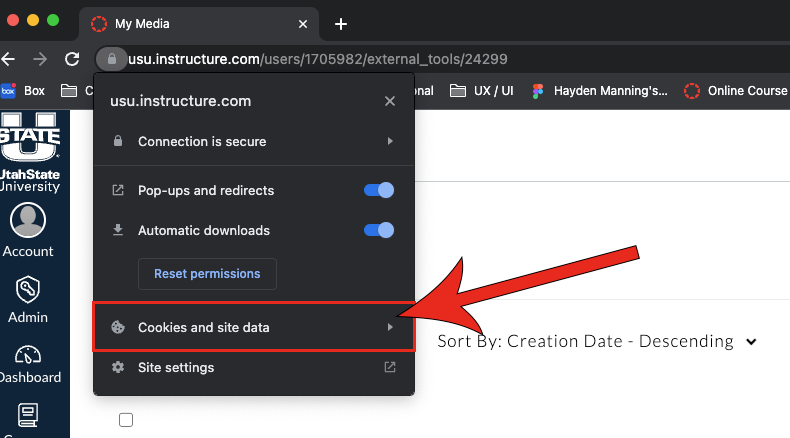 Arrow pointing at Cookies and Site data option.
