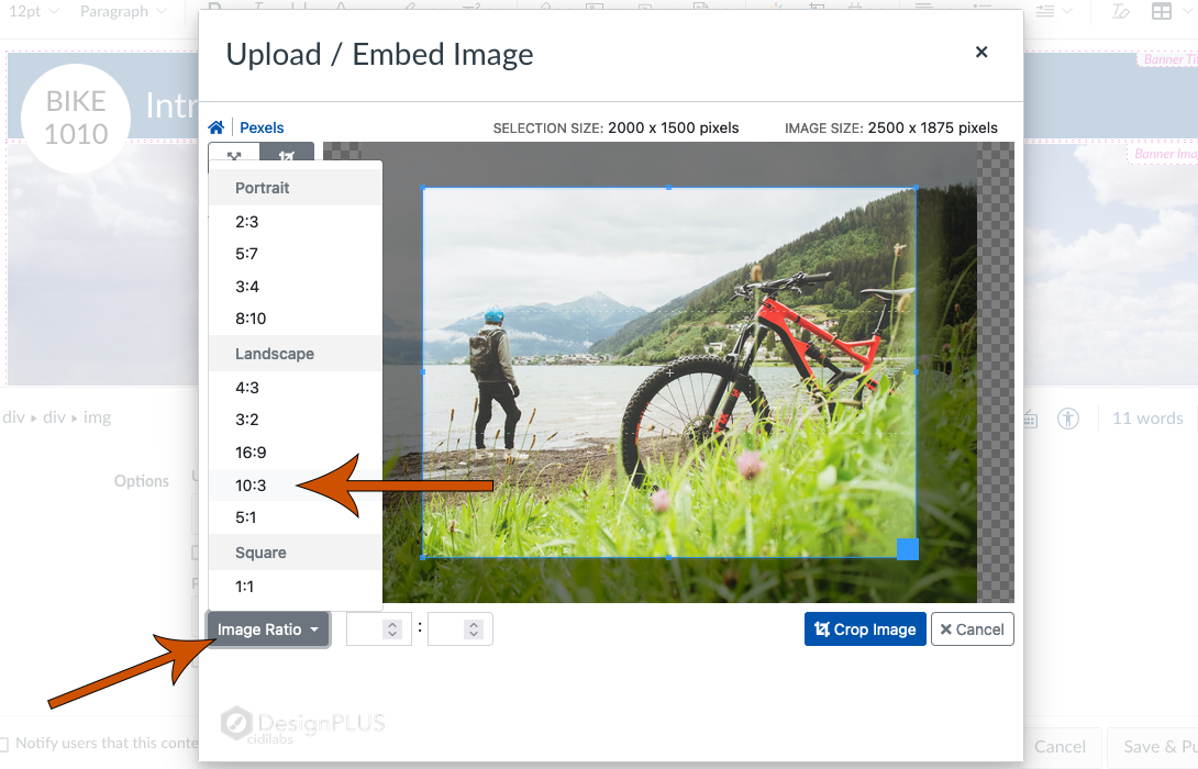 Arrows pointing at Image Ratio dropdown and 10:3.