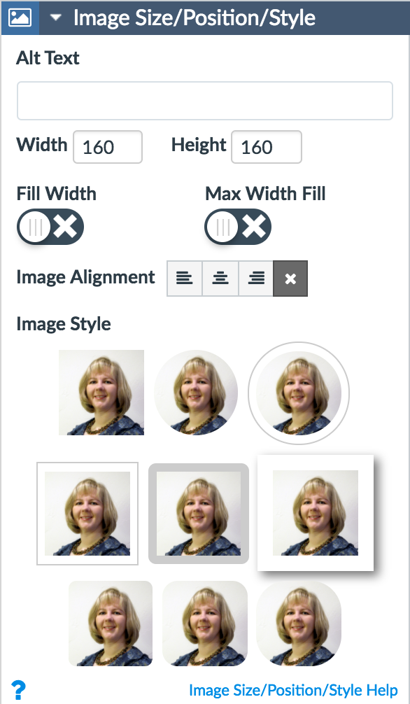 image size / position / style panel options