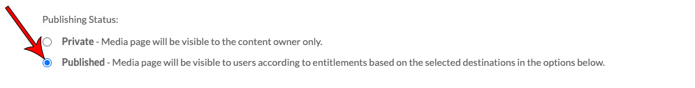 Arrow pointing at Published option