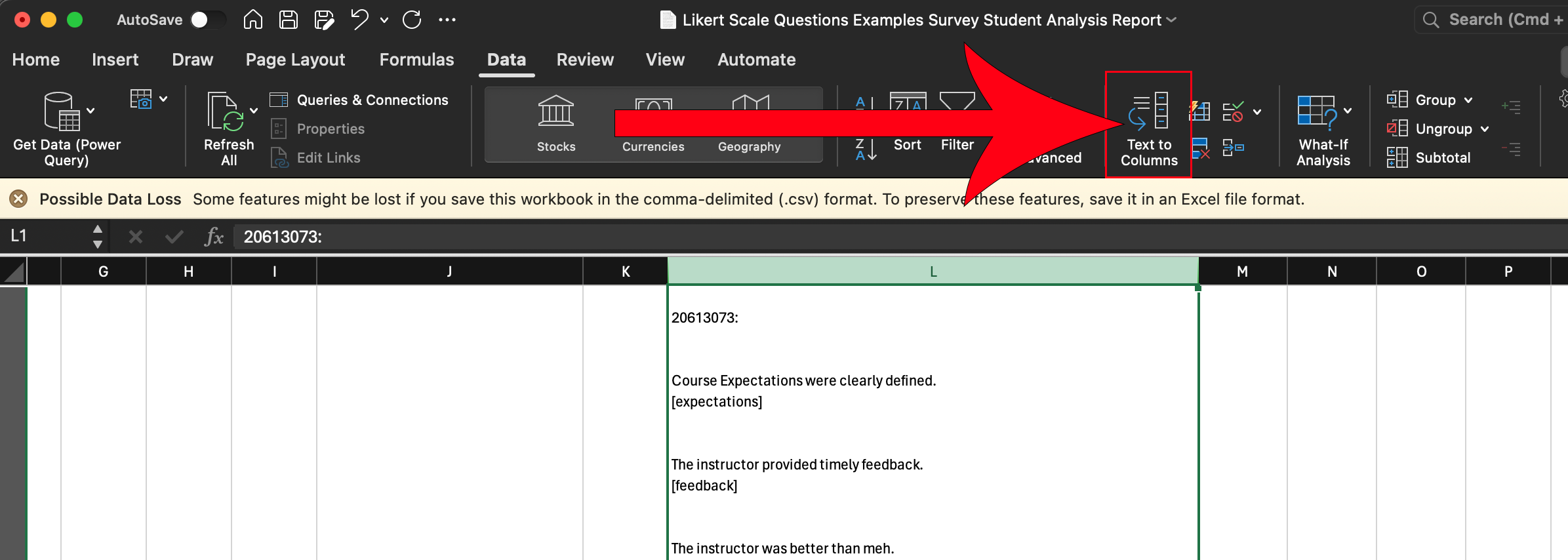 Student Analysis report spreadsheet preview with an arrow pointing at Text to Columns option.