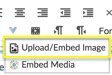 upload / embed image option highlighted