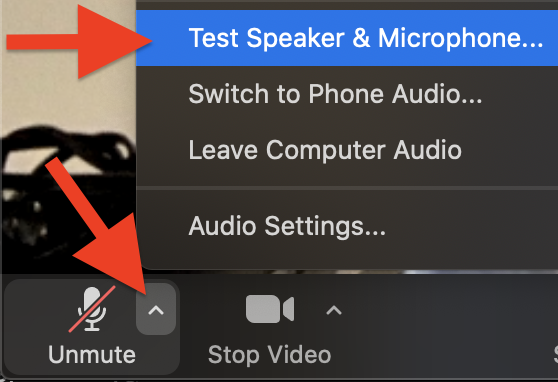 Test Speaker & Microphone location in Zoom