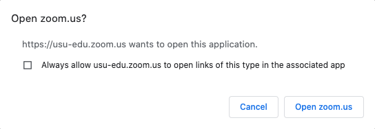 web prompt to open Zoom client
