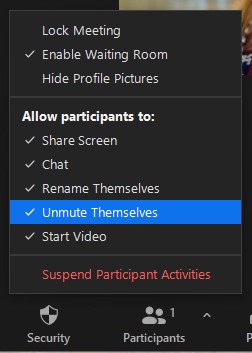 Security option to allow participants to unmute themselves.