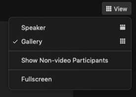 Zoom view button with menu showing speaker, gallery, show non-video participants, and fullscreen 
