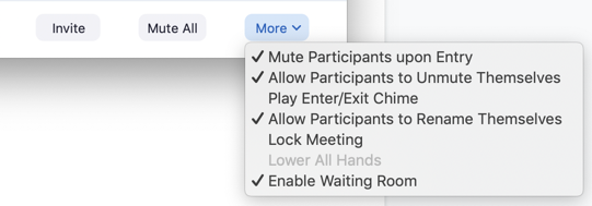 participants menu with more drop-down menu open and a checkmark next to mute participants on entry, allow participants to unmute themselves, allow participatns to rename themselves, and enable waiting room