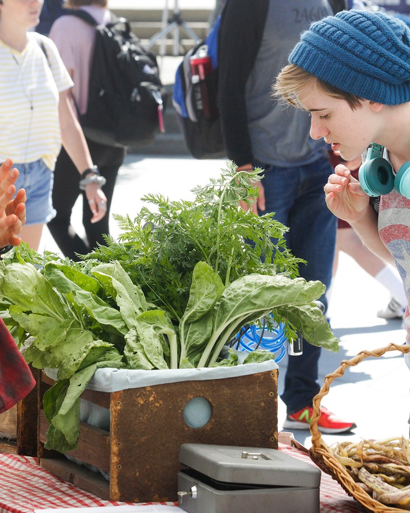 Student looking at fresh produce on campus.