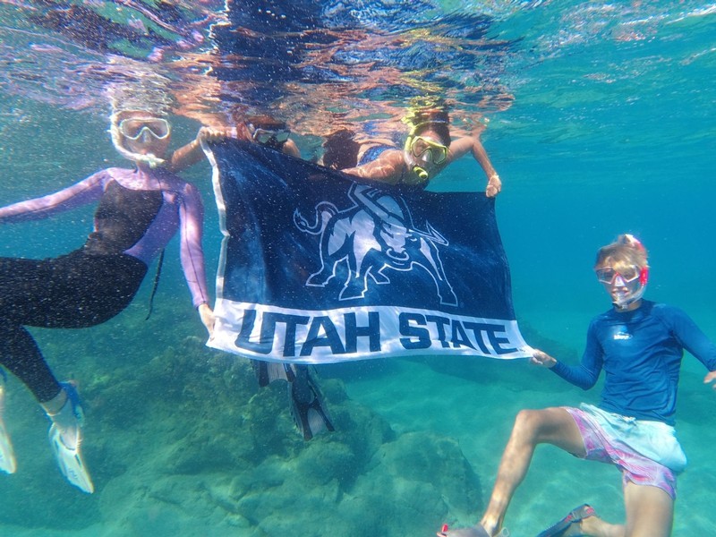 Three USU students snorkel under water while holding up a USU flag in Hawaii.